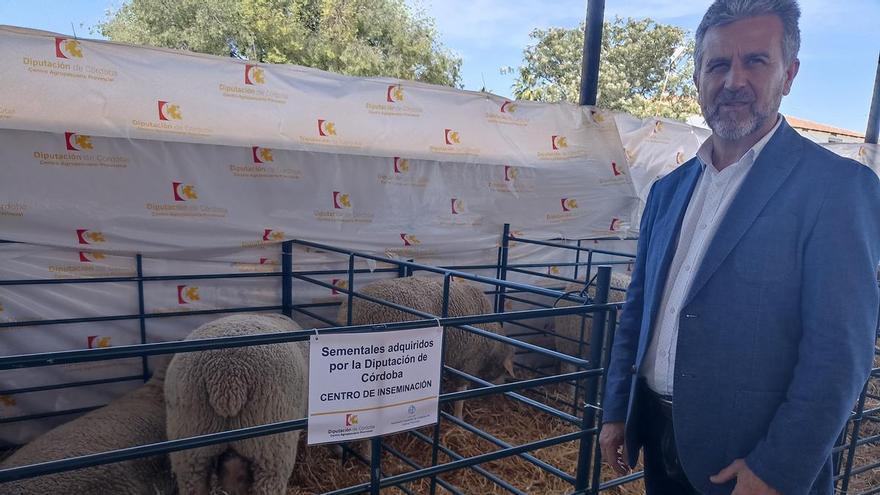 El Centro Agropecuario de la Diputación colabora en la mejora genética del ovino cárnico español