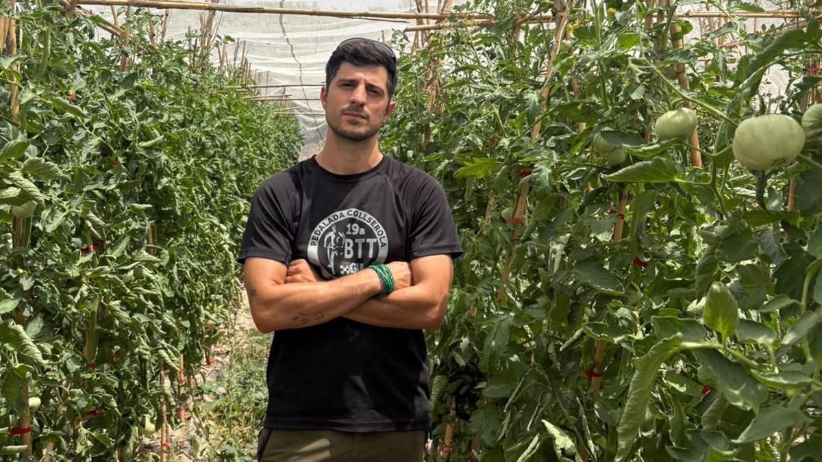 Gracia entre tomàquets als horts de La Tomakera, amb la malla