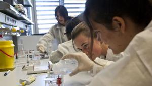 El curs s’acaba amb quasi 900.000 altes de becaris en la Seguretat Social