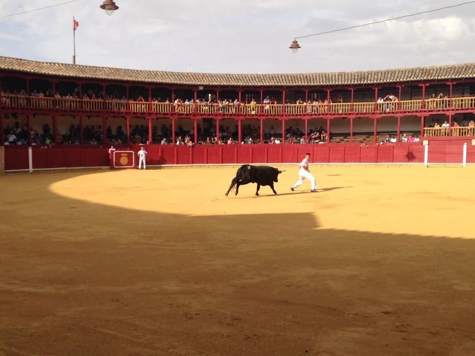 Fiestas Toro- concurso de jóvenes cortadores