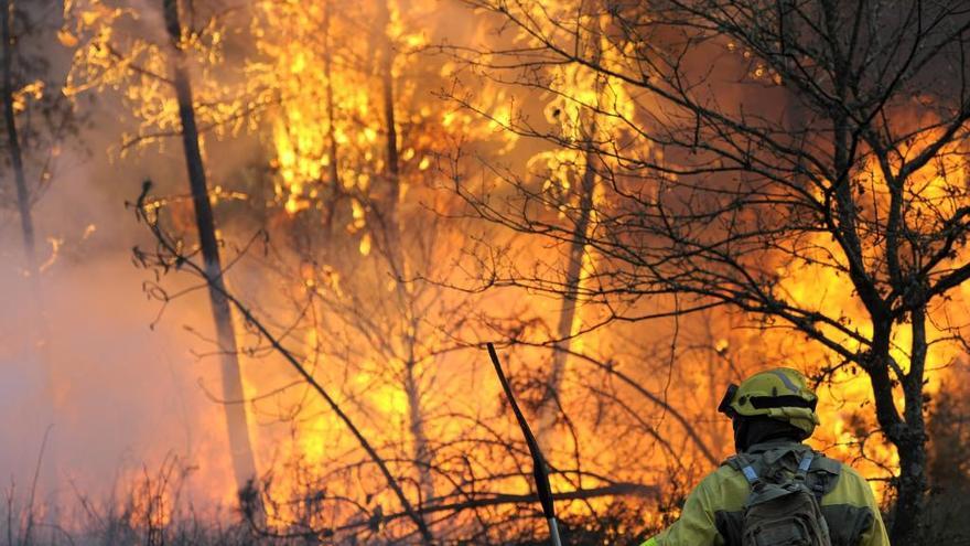 Un brigadista, durante un incendio, el pasado marzo