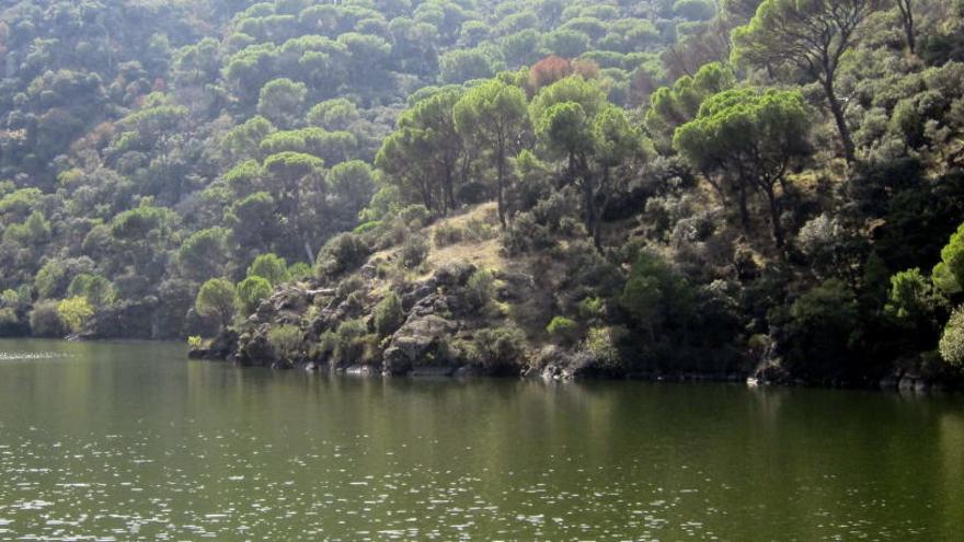 Una imagen de archivo del río Alberche.