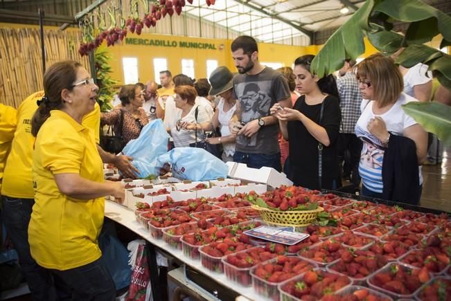 Fiesta de la Freasa en Valsequillo con concurso ...