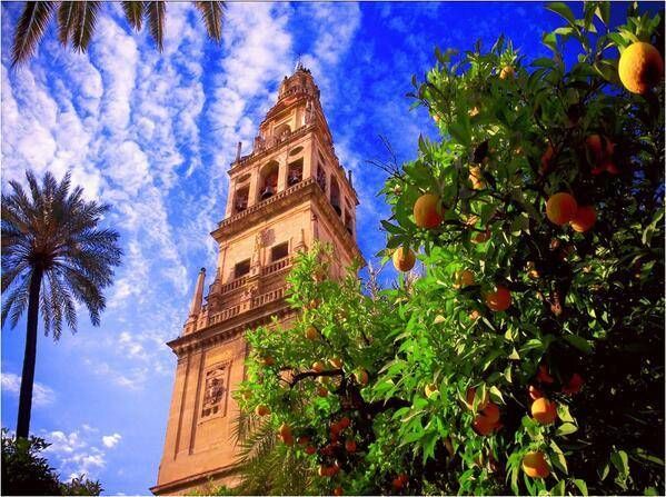 Así ven los lectores la Mezquita premiada