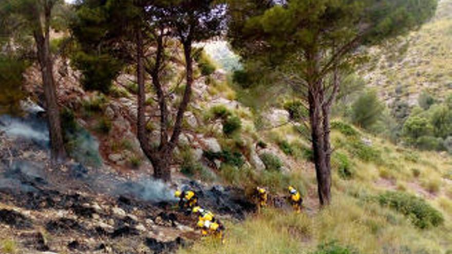 Löschkräfte versuchen den Brand einzudämmen