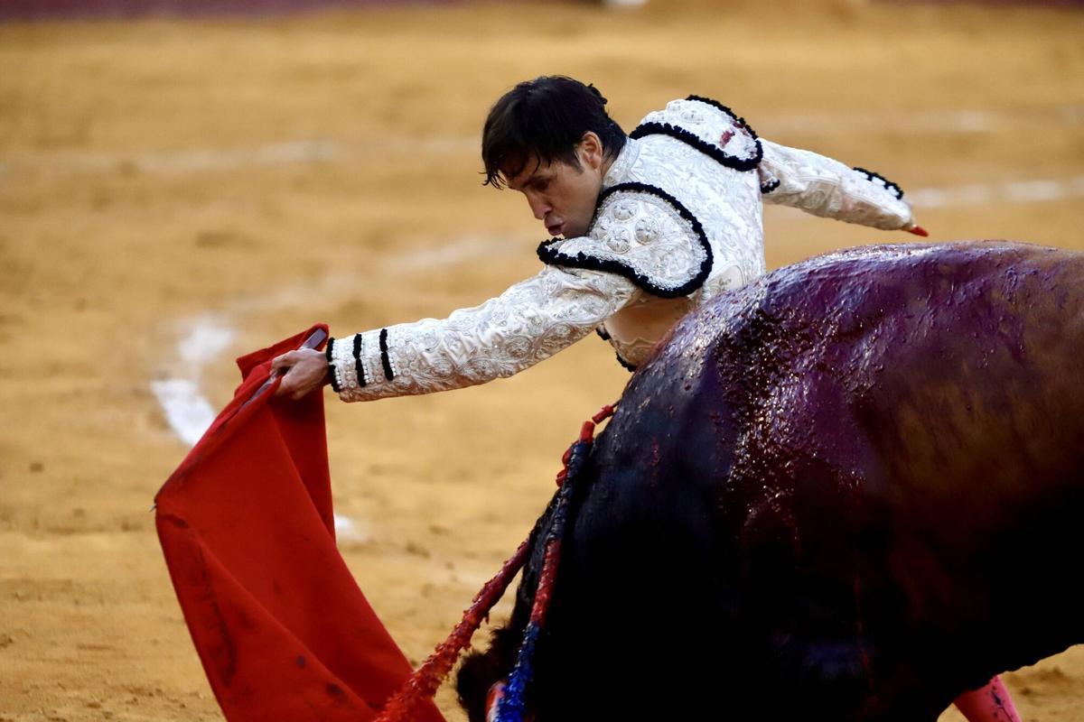 La Feria Taurina de Málaga 2026 celebra la corrida Sabor a Málaga, con un cartel formado por los toreros Mari Paz Vega, David Galán y José Antonio Lavado. La Feria Taurina de Málaga 2026 celebra la corrida Sabor a Málaga, con un cartel formado por los toreros Mari Paz Vega, David Galán y José Antonio Lavado.