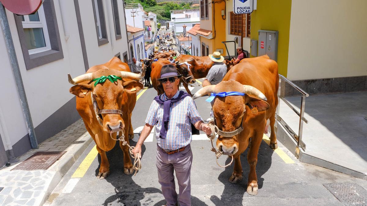 Feria de ganado y Fiesta del huevo duro de Valleseco