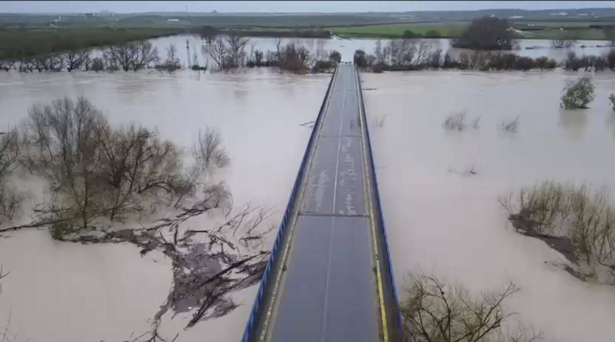 Crecida del Guadalquivir a la altura del puente de la Algodonera en Almodóvar
