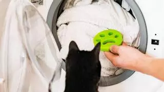 El truco fácil (y barato) para atrapar los pelos de mascota en la lavadora y secadora