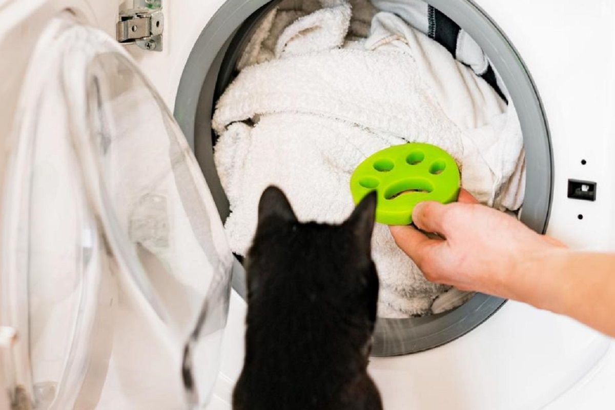 Limpieza: El truco que seguro no conoces para que los pelos de tu mascota  no atasquen la lavadora al hacer la colada