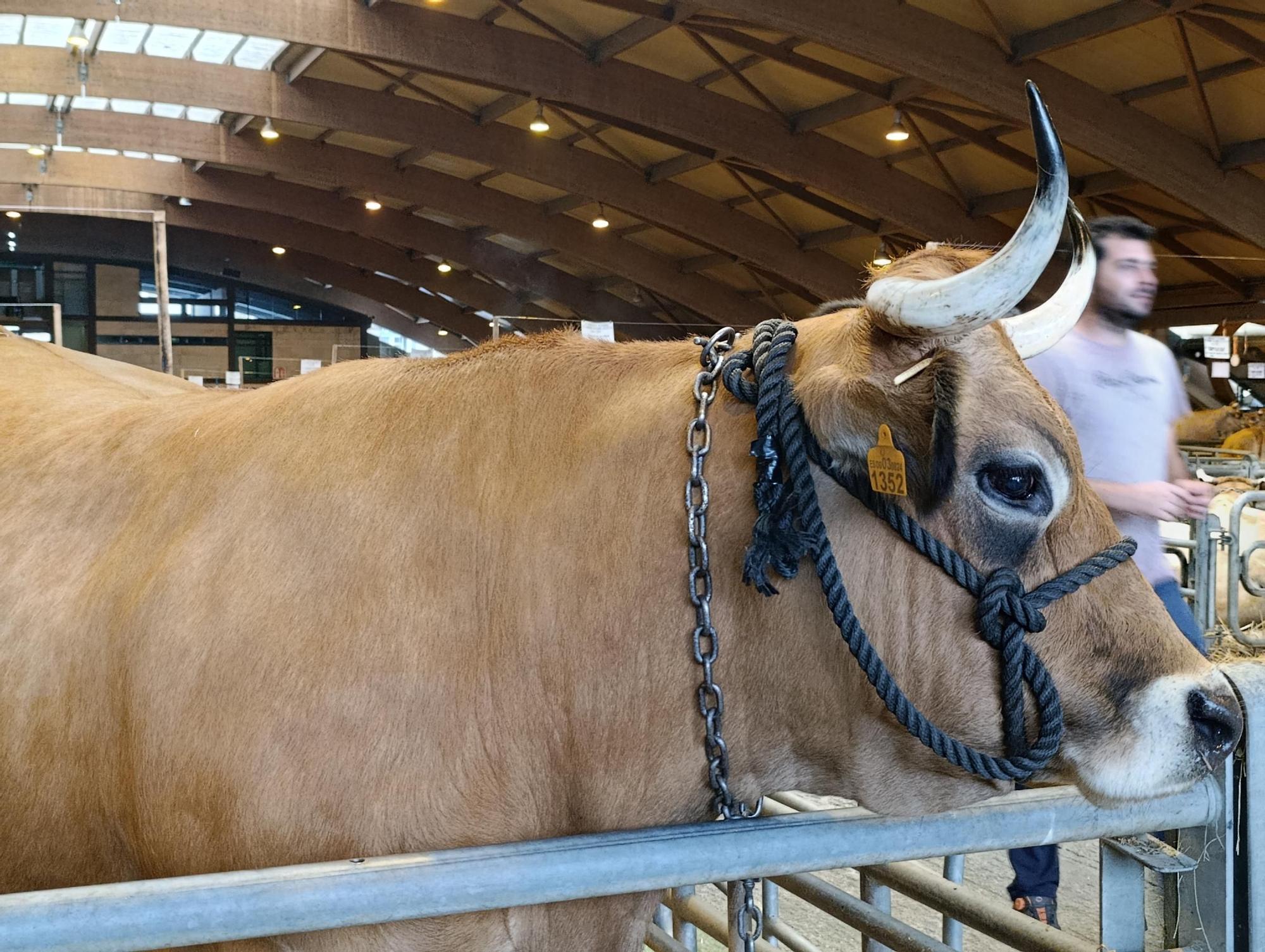 Arranca Agrosiero en La Pola