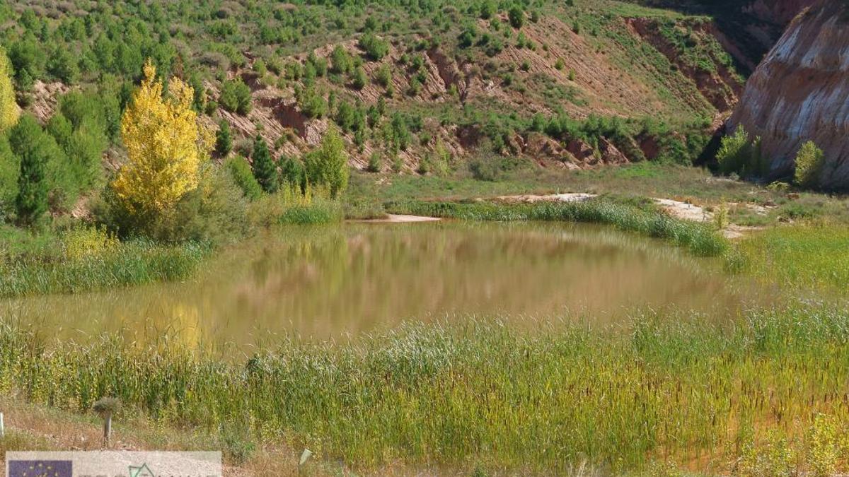 Después de intervenir la Mina Fortuna en Ademuz con el proyecto Tecmine. Concretamente, se aprecia cómo está en estos momentos la laguna, con especies de ribera.