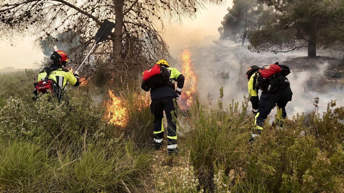 Tres bomberos forestales combaten las llamas alrededor de un árbol en Sierra Espuña