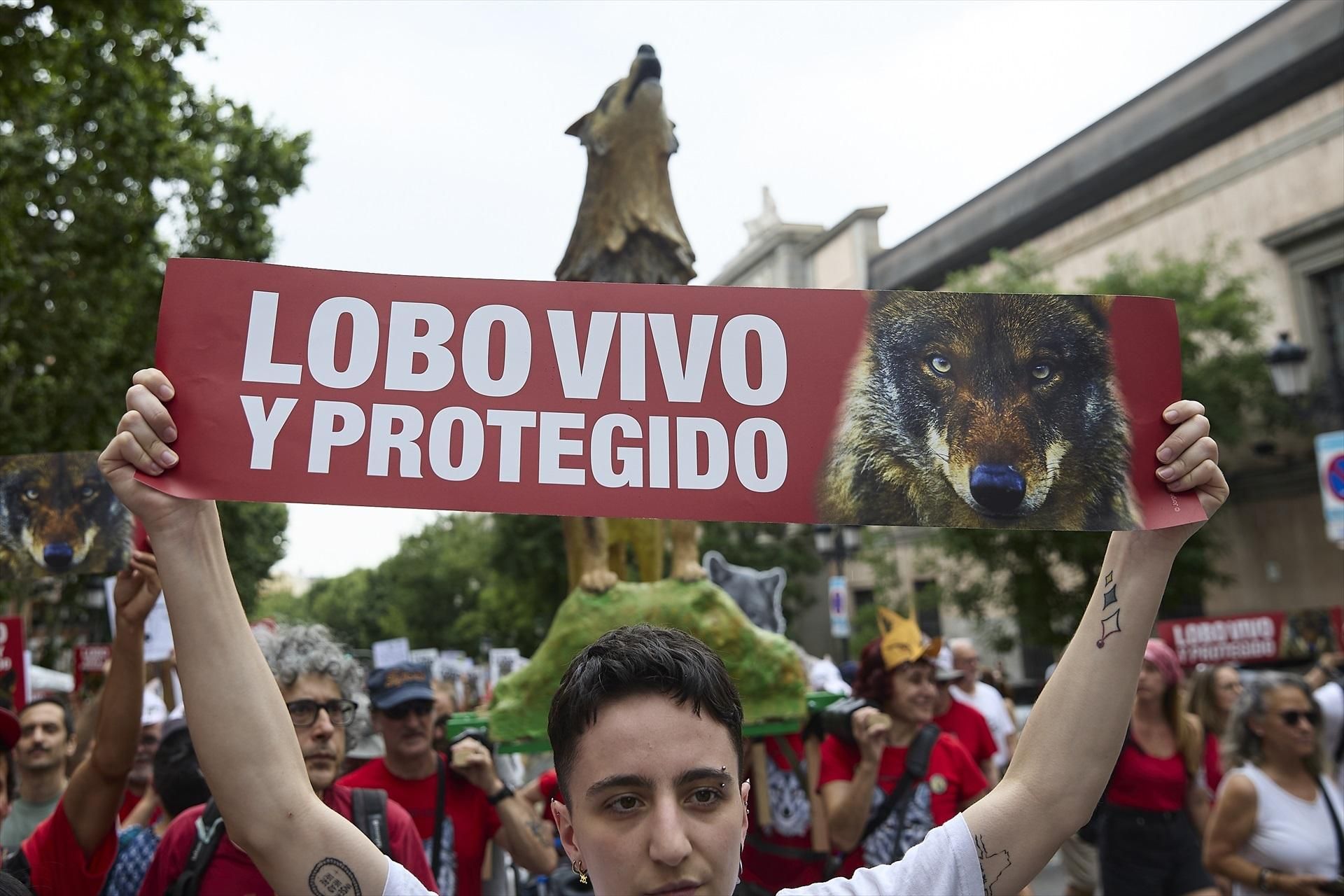 Las imágenes de la manifestación en Madrid por el lobo