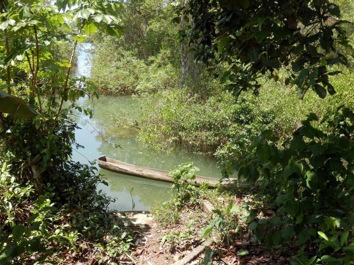 chocó