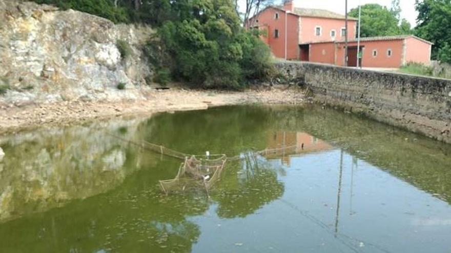 Posen trampes per a tortugues exòtiques a Caldes