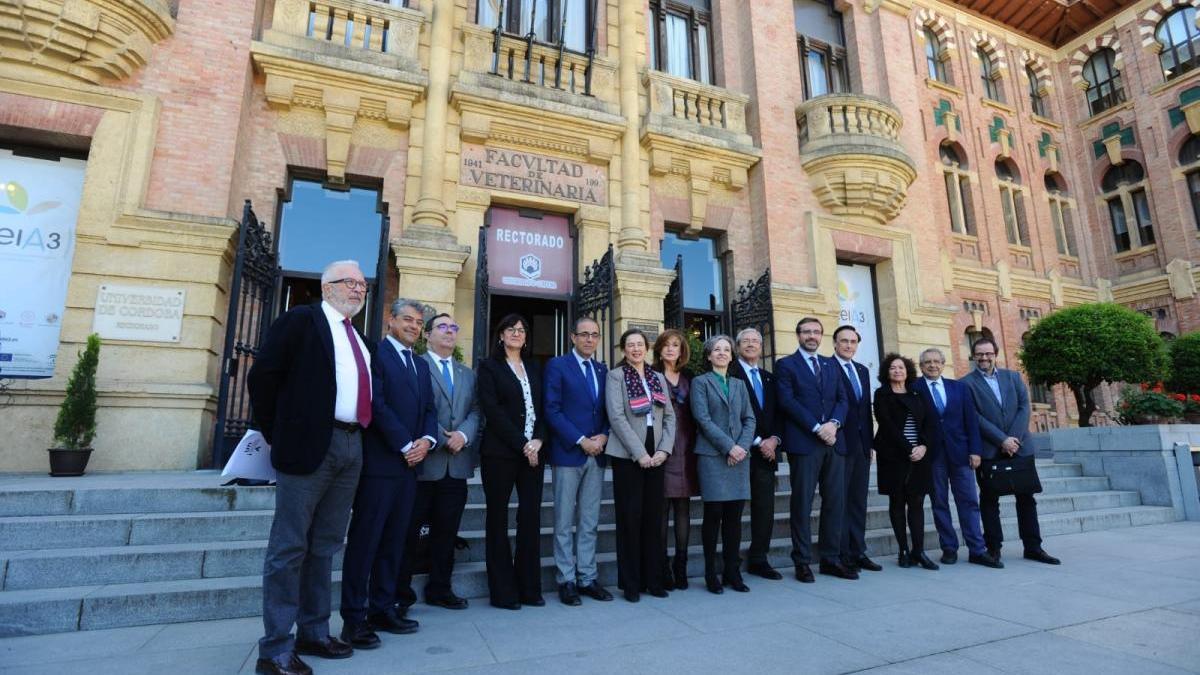 Rogelio Velasco apunta a una probable &quot;fusión de grados&quot; en las universidades andaluzas