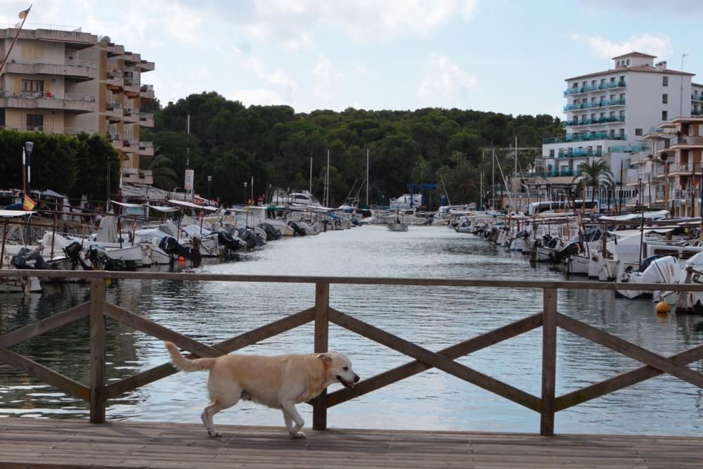 Porto Cristo Mallorca