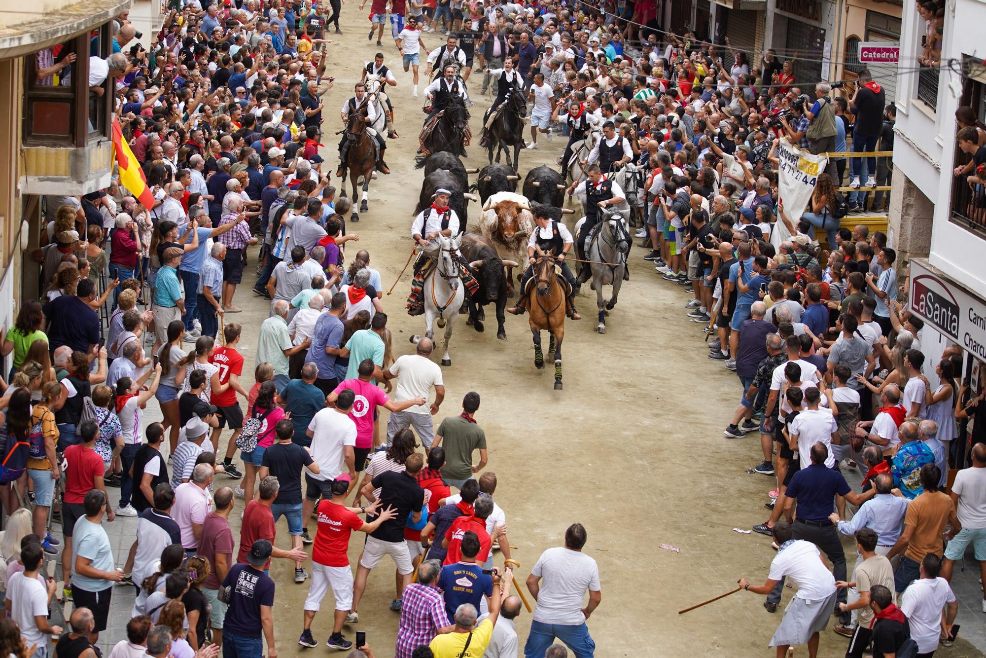 Las fotos de la primera Entrada de Toros y Caballos de las fiestas de Segorbe