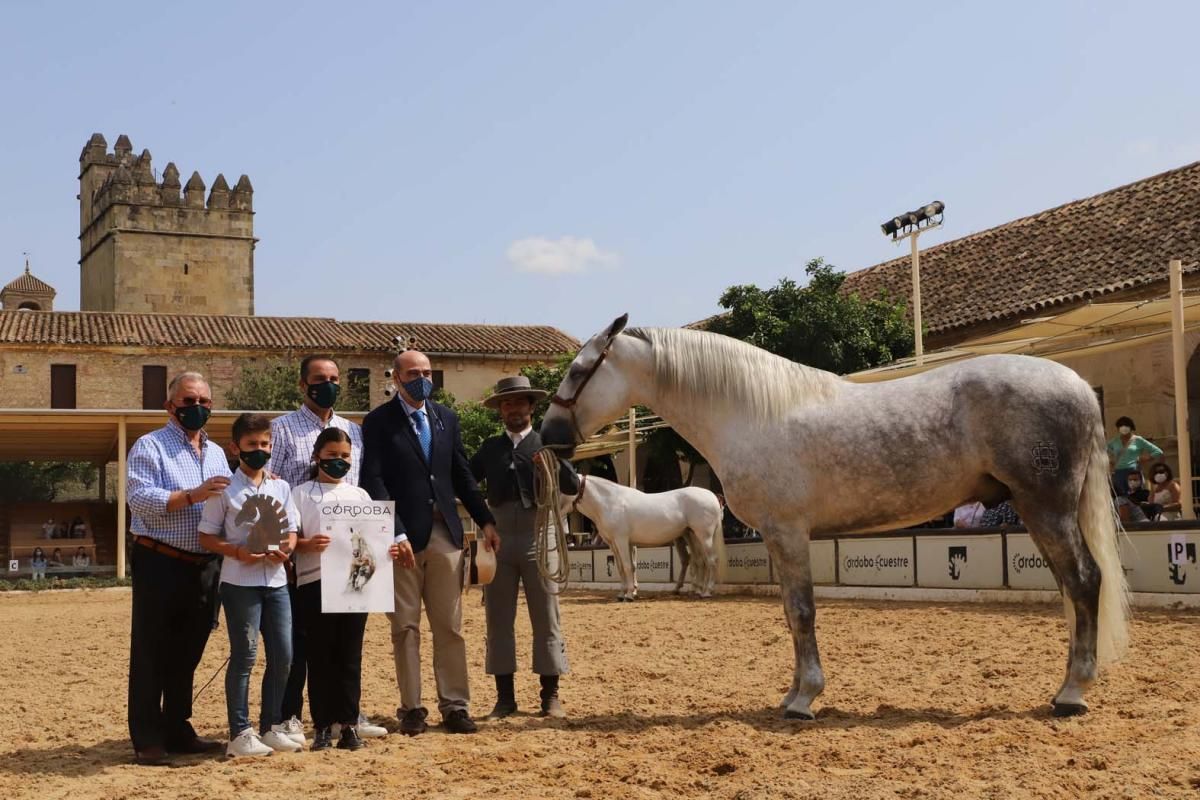 Cabalcor 2020: entrega de premios especiales