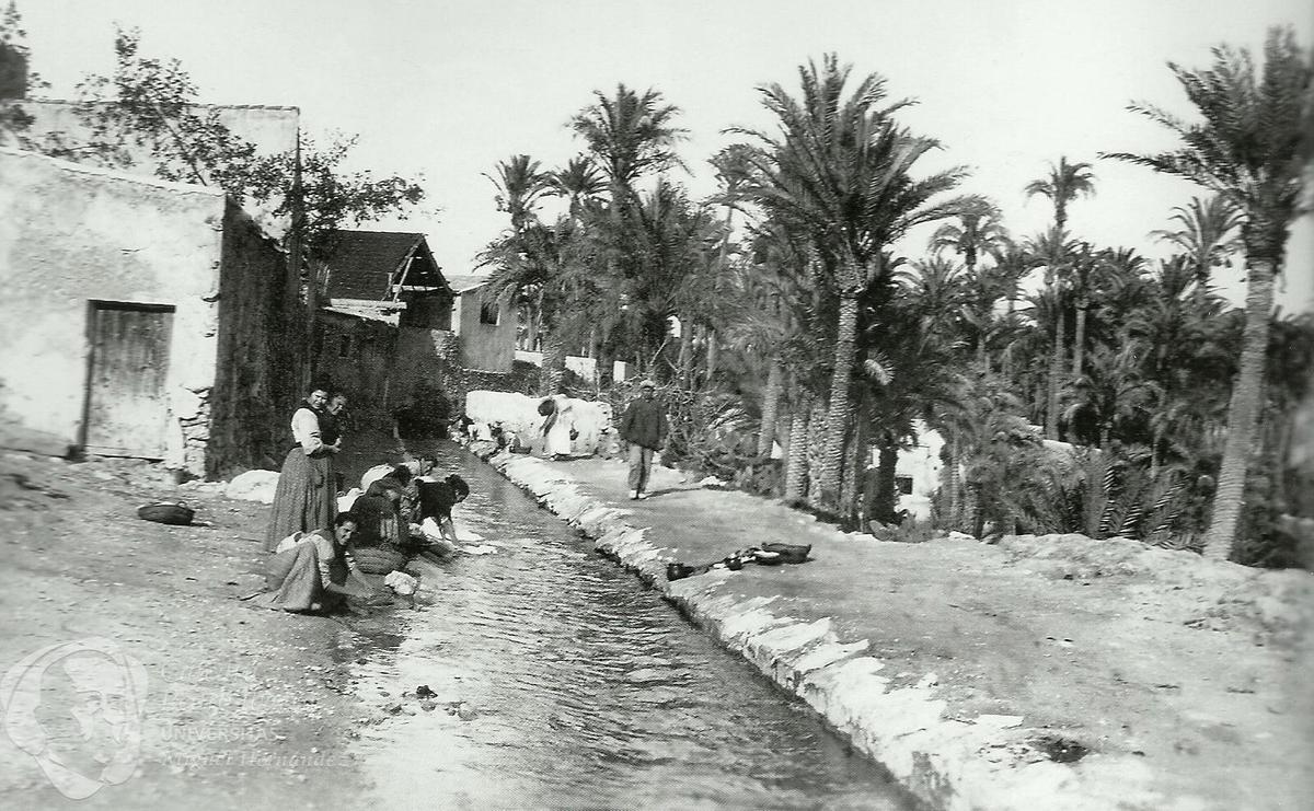 Imagen tomada por Pedro Ibarra, sobre el viejo matadero, en 1900