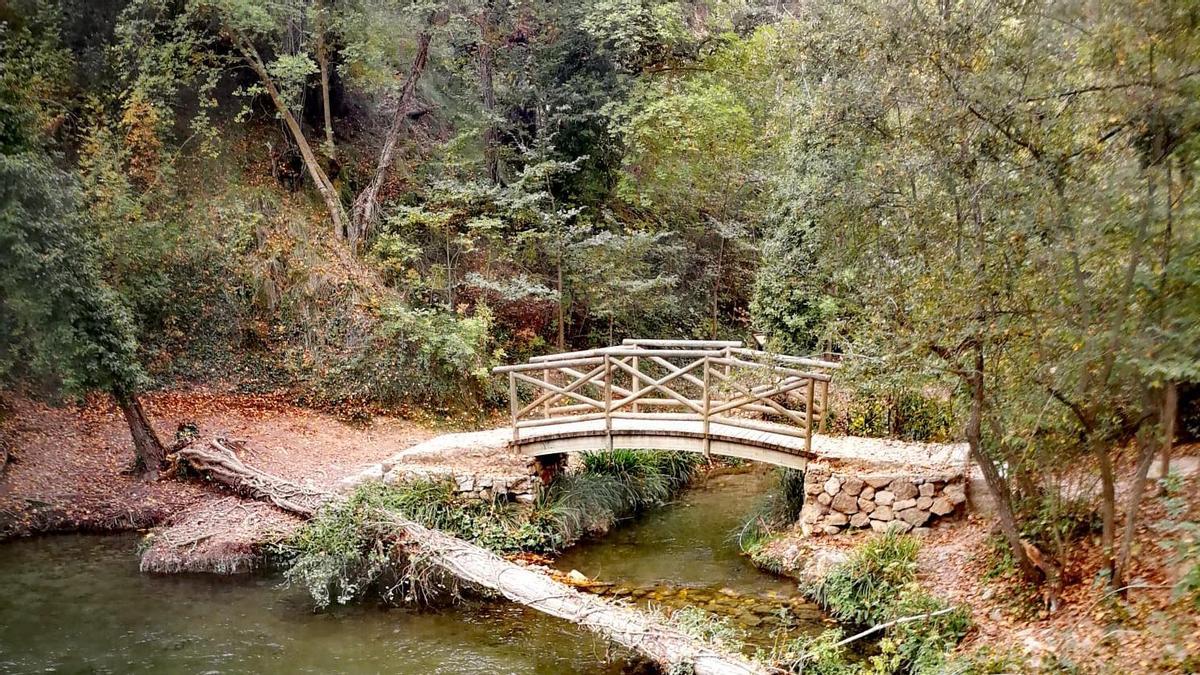 Esta ruta de senderismo de Banyeres es una de las más bonitas que puedes hacer en otoño.