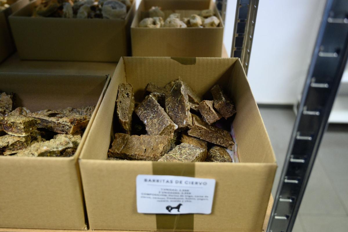 En imágenes | Así es la primera pastelería para mascotas en Aragón