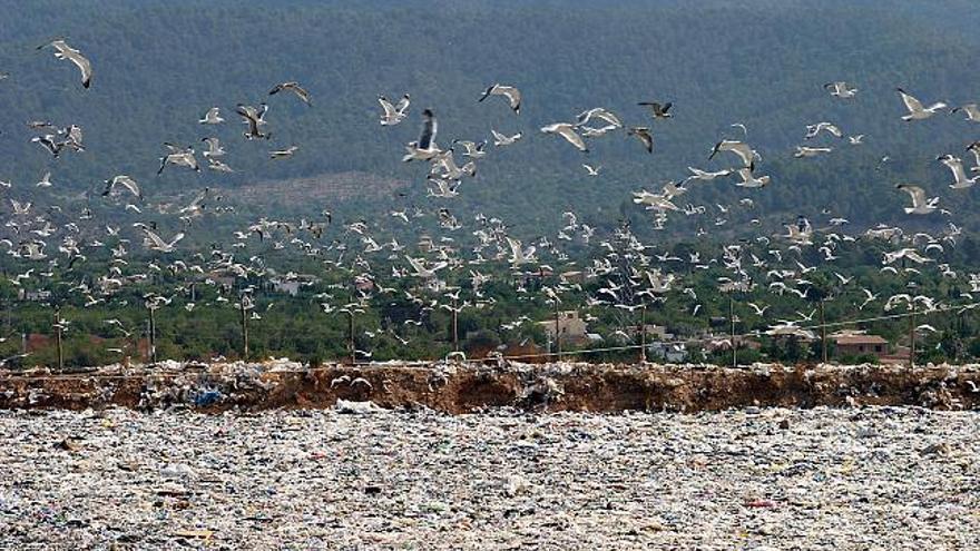 La contaminación del vertedero de Son Reus alcanza la bahía de Palma