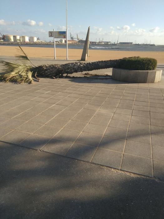 Temporal de viento en Gijón