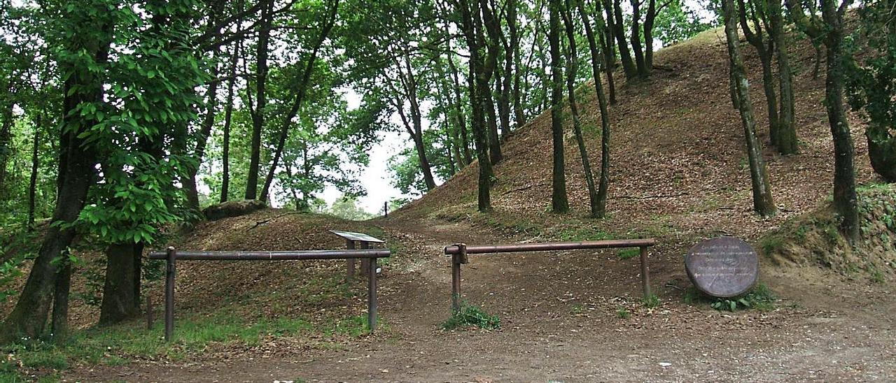 Acceso principal ao Castro de Toiriz, cunha mensaxe de agradecemento gravada sobre un tocón de madeira.