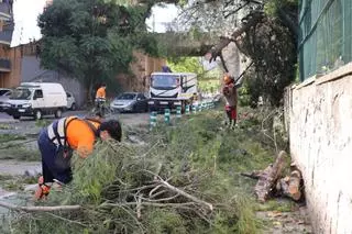 Alcoy, la zona cero del temporal: 32 intervenciones de los bomberos tras las rachas de 132 kilómetros por hora