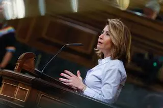 Raquel Sánchez: "La ley de vivienda no provocará una caída estrepitosa de los precios de los alquileres"