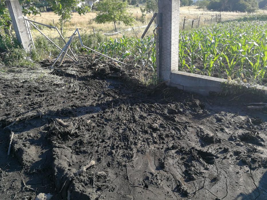 Las riadas arrastraron ceniza y piedras en Xunqueira de Espadanedo // FdV