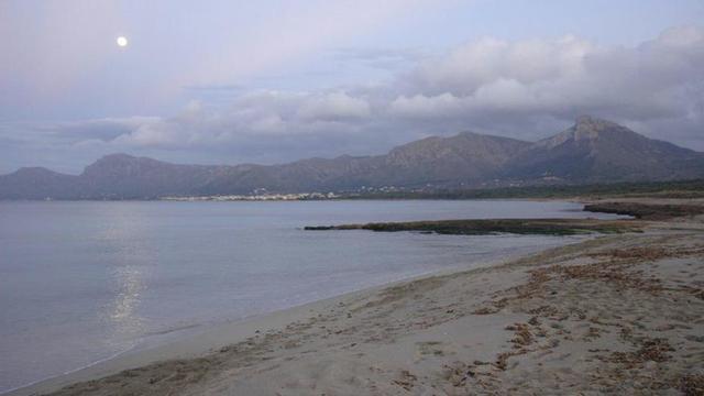 Platges de Son Serra de Marina.