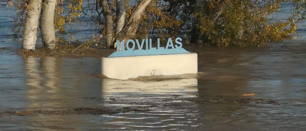 La punta de la crecida llegó el pasado 12 de diciembre a Novillas. |