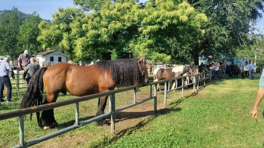 Una Feriona deslucida en Corao