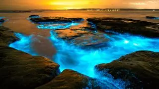 5 playas de España donde salir a buscar la bioluminiscencia en octubre: el "mar de ardora" que enciende de azul la costa de Galicia