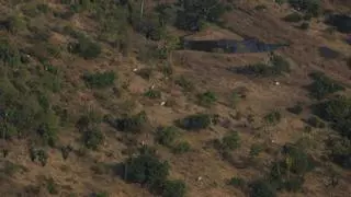 Acuerdo UE-Mercosur: ¿Cómo afecta al medio ambiente y al clima mundial?