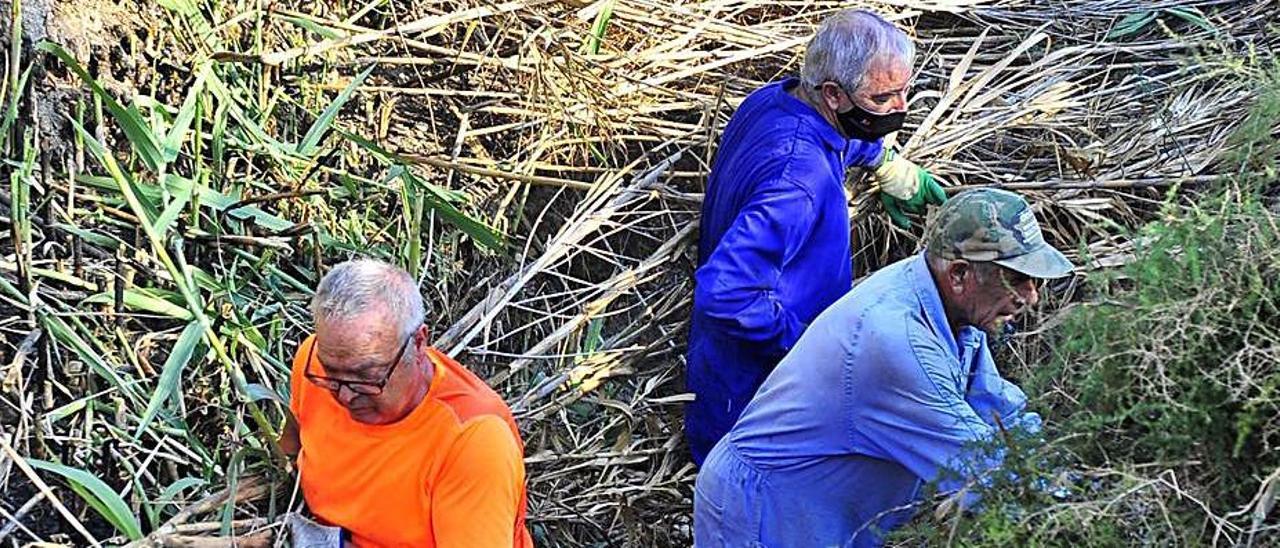 Trabajos de desbroce que hicieron los vecinos. |