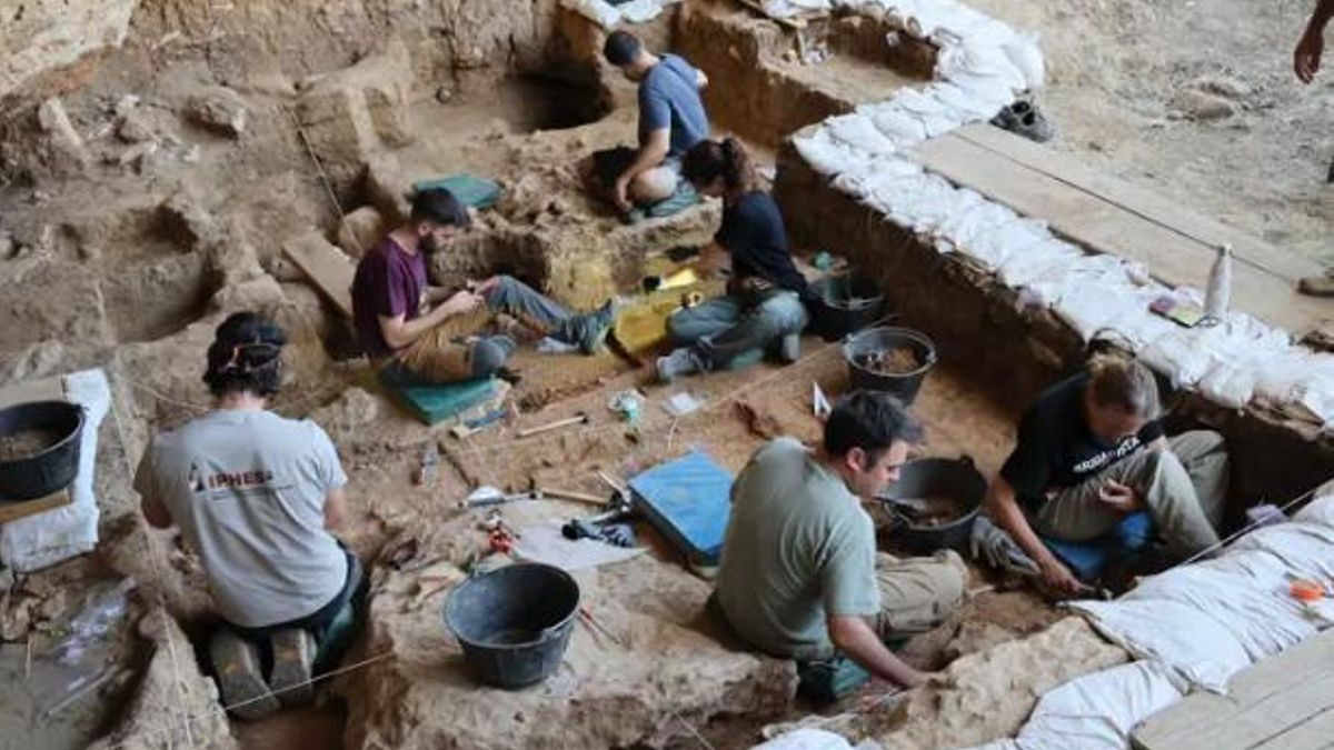 Descubiertos en Guadalajara los caballos más antiguos del linaje ibérico: así se diferencian genéticamente del resto