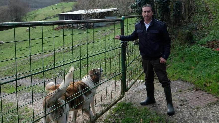 Raúl López, en la finca que tiene habilitada como cebadero en Campomanes.