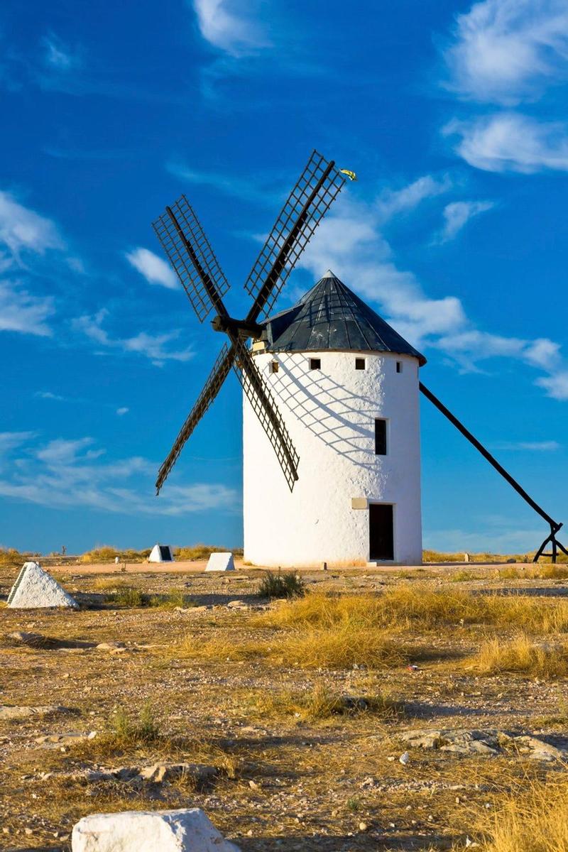 Moler Trigo en Consuegra, Toledo