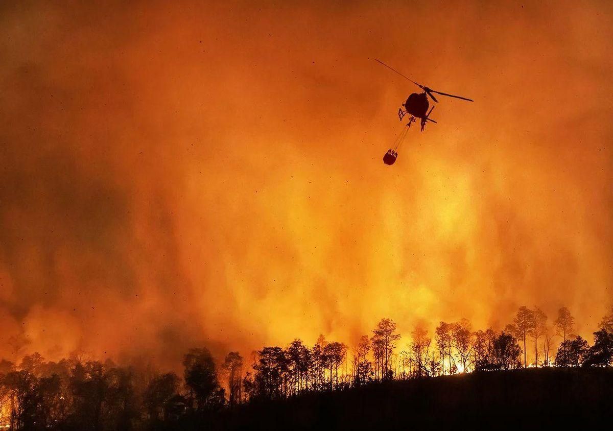 Incendios devastadores han arrasado los bosques de la Península este agosto / Agencias Incendios devastadores han arrasado los bosques de la Península este agosto / Agencias