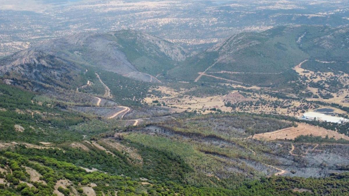 Fotografía de la zona calcinada por el incendio y la planta embotelladora de agua a la derecha, a las 11:38 horas del sábado