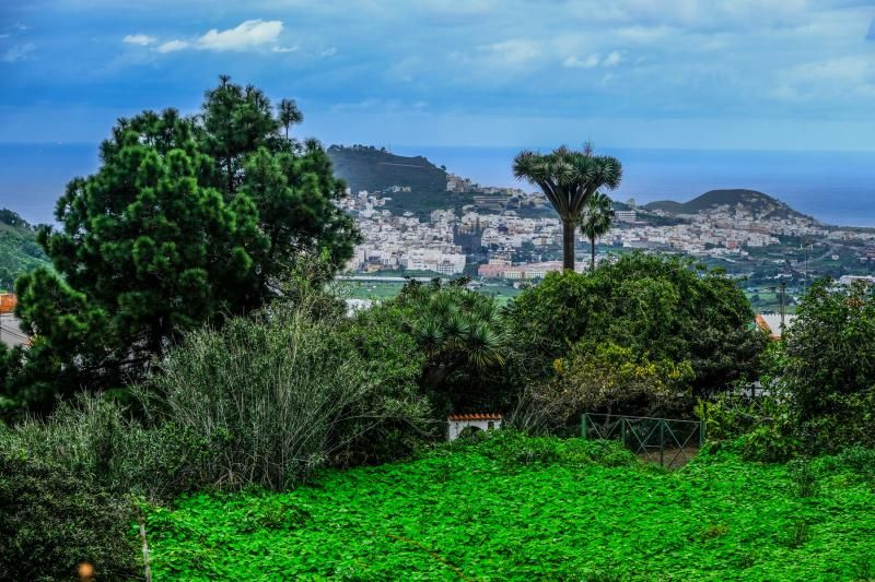 El agua caída con filomena beneficia al campo aruquense