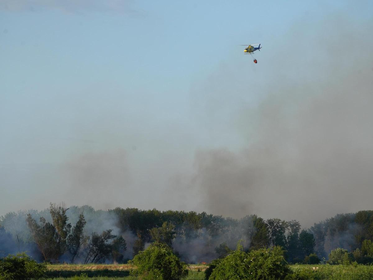 GALERÍA | Incendio en el "Plantío viejo" de Villaralbo