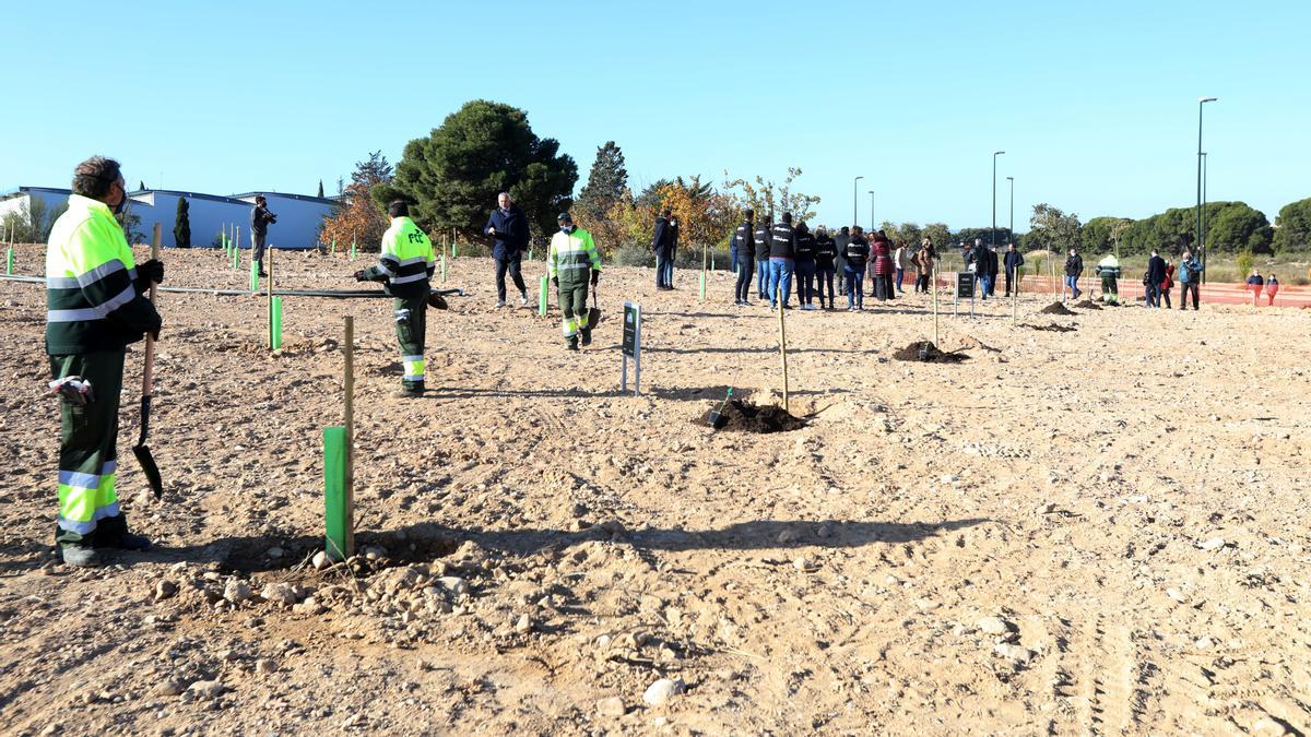 El Bosque de los Zaragozanos ya ha cumplido su primer aniversario de sus primeras plantaciones.