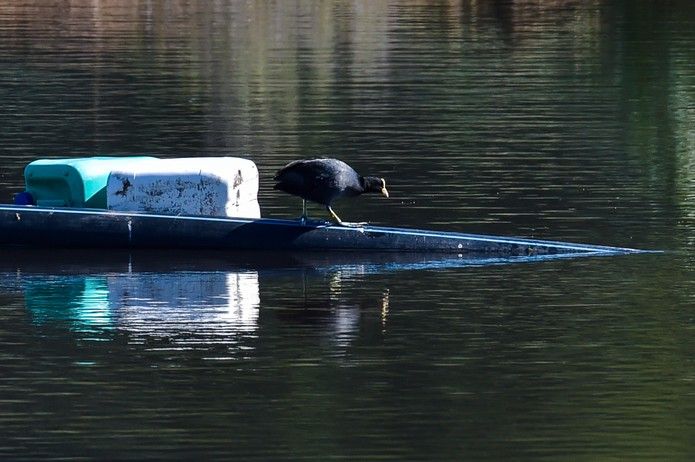 Humedal de la Charca de San Lorenzo