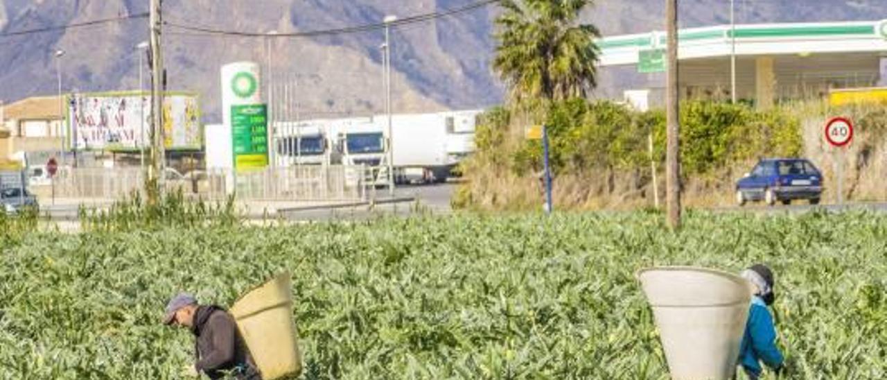 Asaja califica de «burla» las ayudas de la Generalitat para los agricultores por la sequía