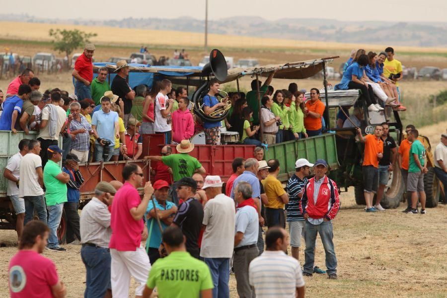 Segundo encierro taurino en Guarrate